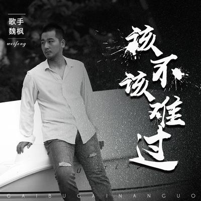 该不该难过's cover