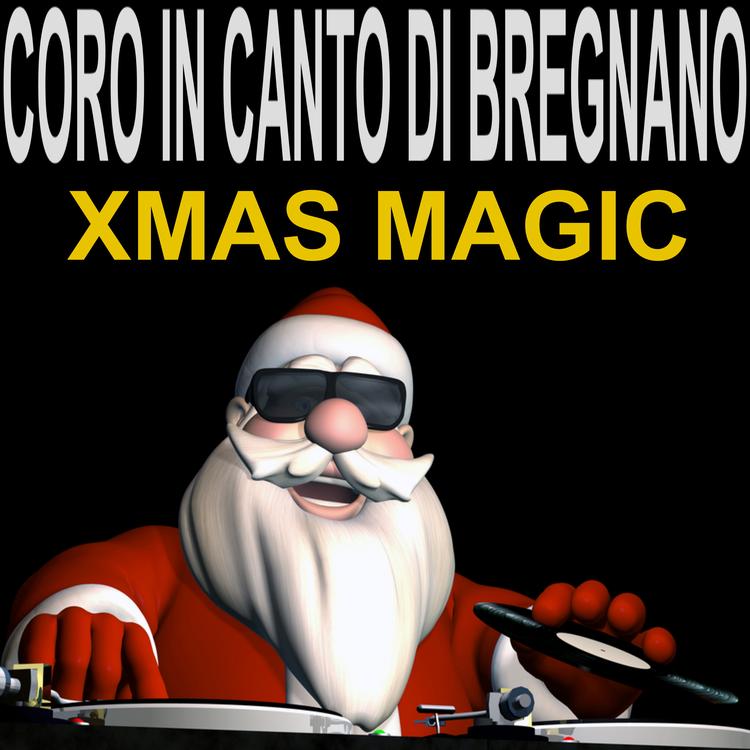 Coro In Canto di Bregnano's avatar image