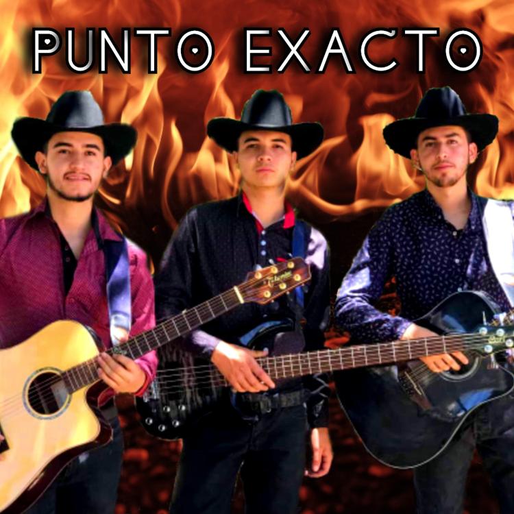 Punto Exacto's avatar image