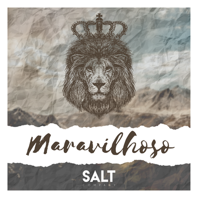 Maravilhoso (Ao Vivo) By Cia SALT's cover