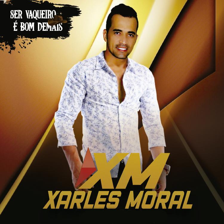 Xarles Moral's avatar image