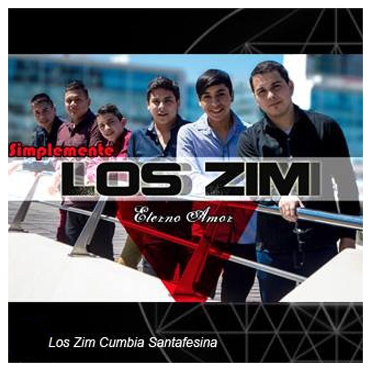 Simplemente los ZIM's avatar image