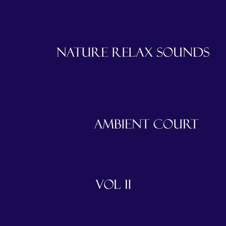 Nature Relax Sounds's avatar image