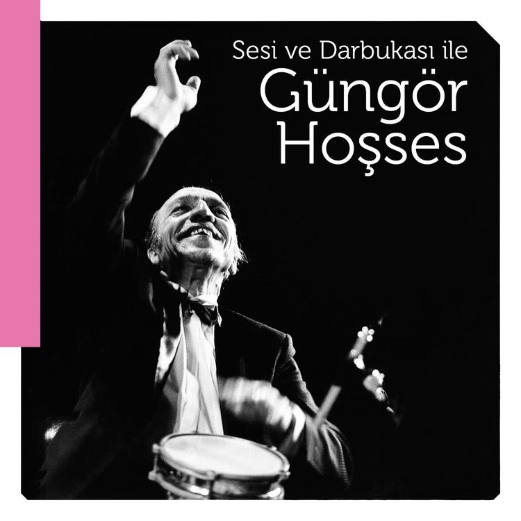 Güngör Hoşses's avatar image