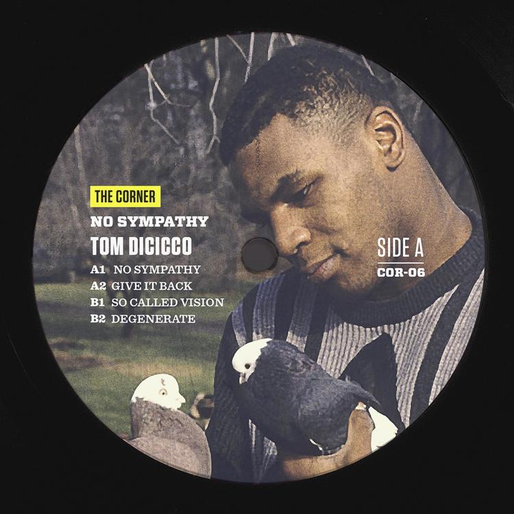 Tom Dicicco's avatar image