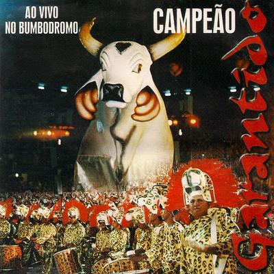 Sinhazinha da Fazenda (Ao Vivo) By Boi Bumba Garantido's cover