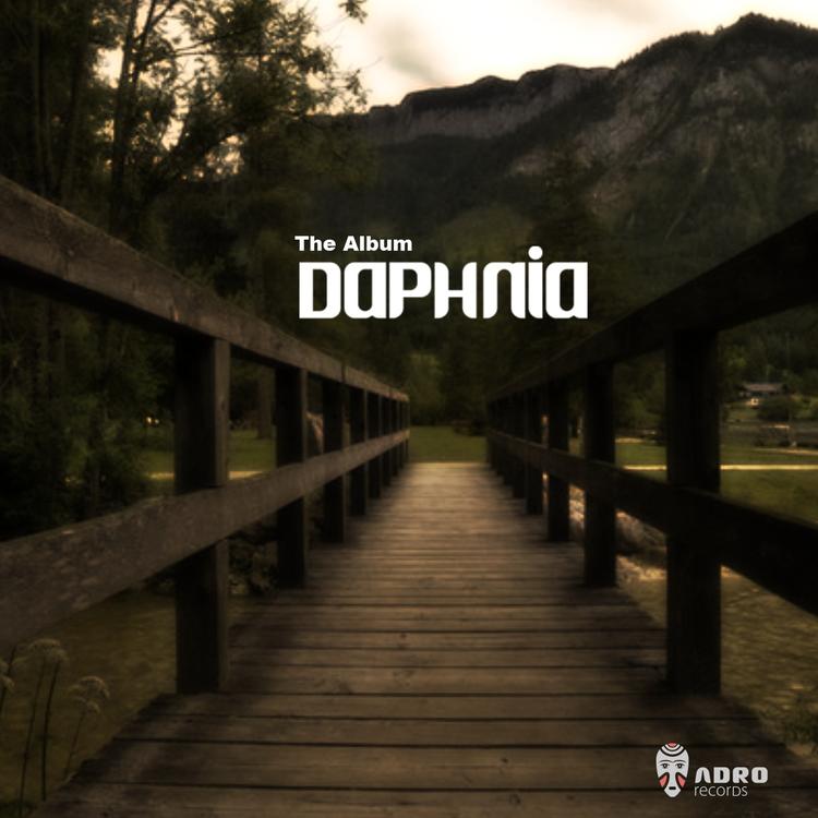 Daphnia's avatar image