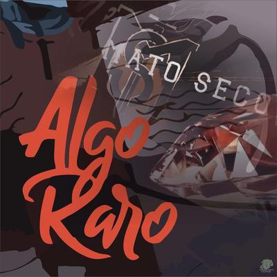 Algo Raro By Mato Seco's cover