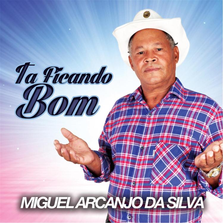 Miguel Arcanjo Da Silva's avatar image