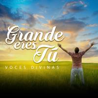 Voces Divinas's avatar cover
