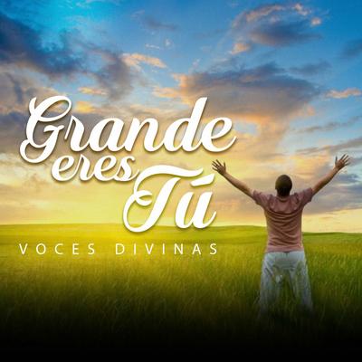 Voces Divinas's cover