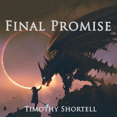 Final Promise By Timothy Shortell's cover