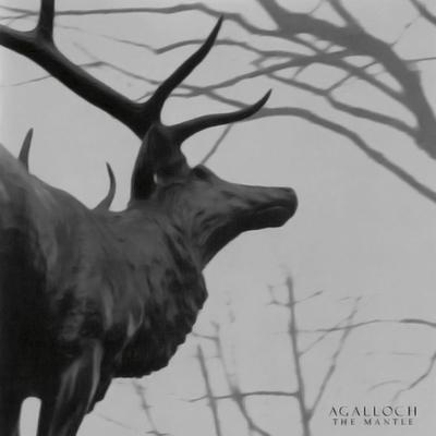 I Am The Wooden Doors By Agalloch's cover