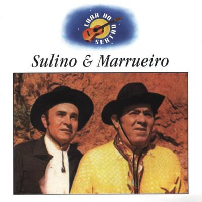 Sulino & Marrueiro's cover