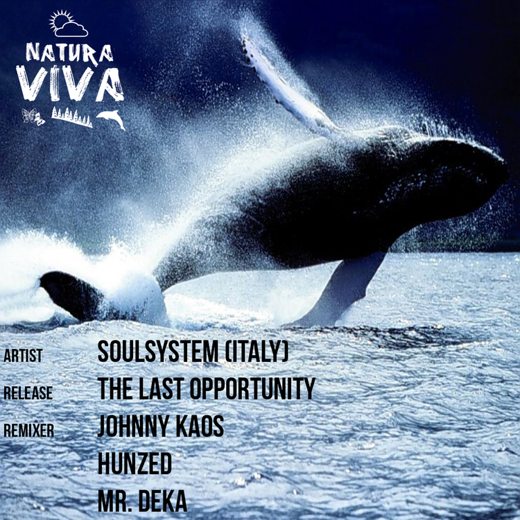 Soulsystem (Italy)'s avatar image