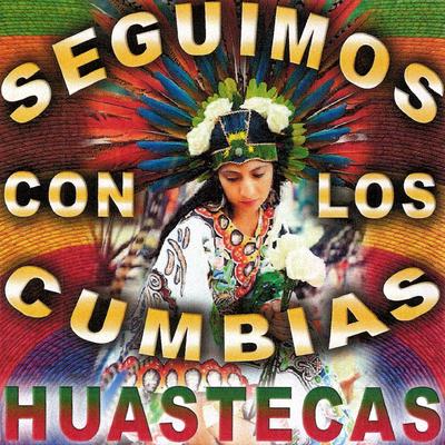 Seguimos Con Los Cumbias Huastecas's cover