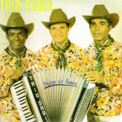 Forrozeiro By Trio Sabiá's cover