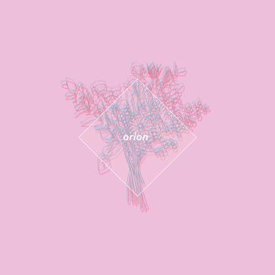 Orion's cover