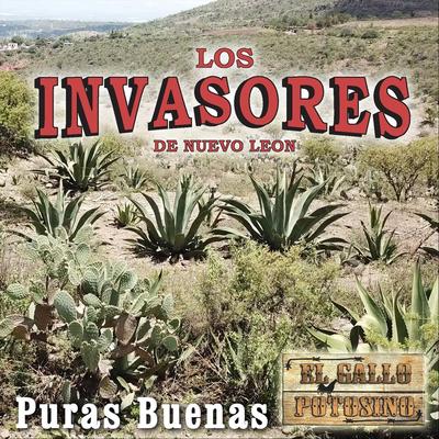 Soy del Valle (feat. Los Patrulleros) By Los Invasores De Nuevo León, Los Patrulleros's cover