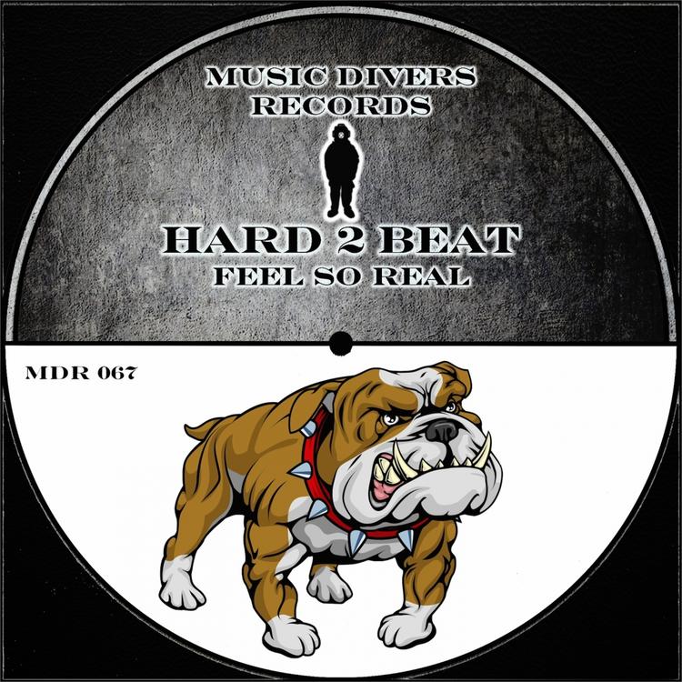 Hard 2 Beat's avatar image