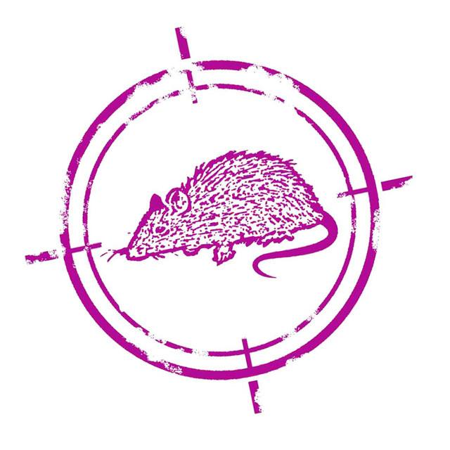 Fe de Ratas's avatar image