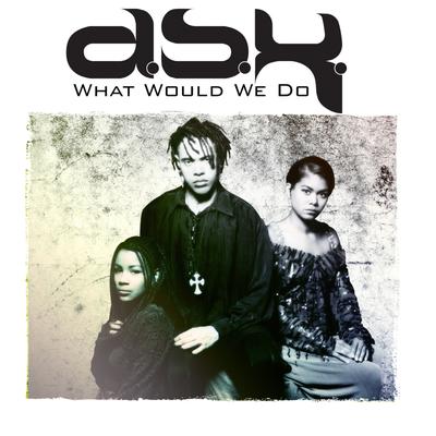 What Would We Do (Steve "Silk" Hurley Remix) By DSK's cover