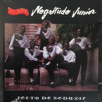 Jeito de Seduzir By Negritude Junior's cover