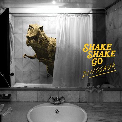 Human (Rag'n'bone Man Acoustic Cover) By Shake Shake Go's cover