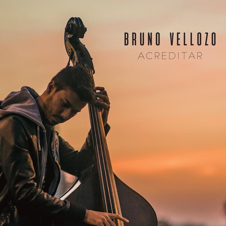 Bruno Vellozo's avatar image