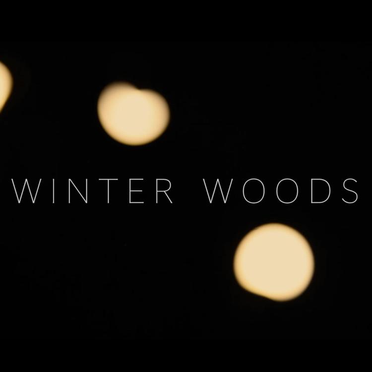 Winter Woods's avatar image