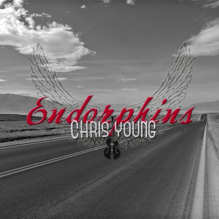 Chris Young's avatar image