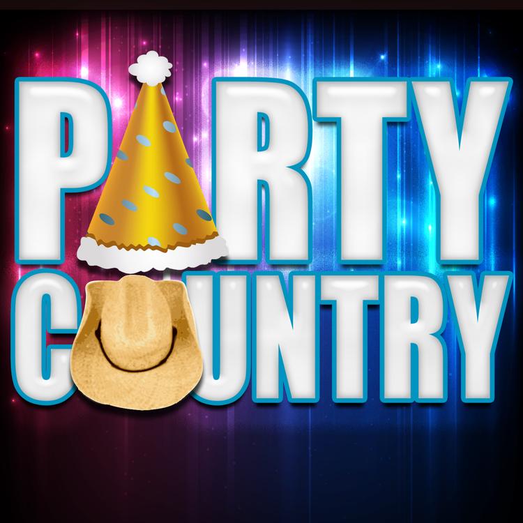 Party Country's avatar image