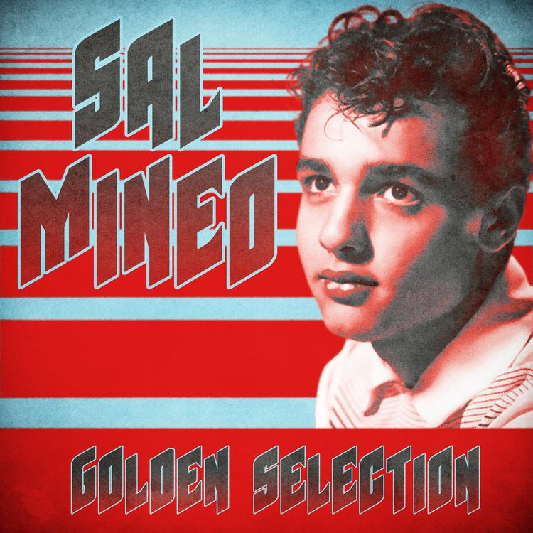 Sal Mineo's avatar image