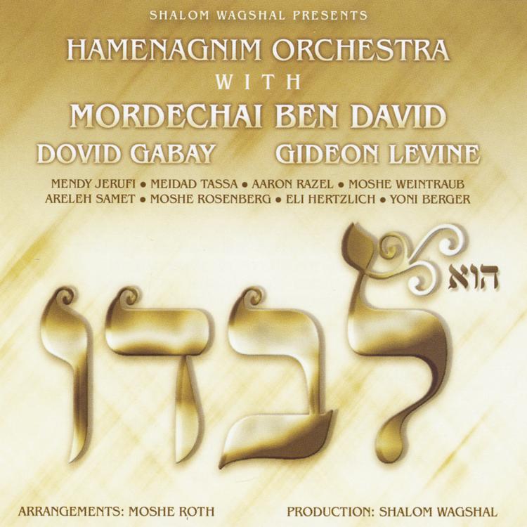 Hamenagnim Orchestra, MBD & Dovid Gabay's avatar image