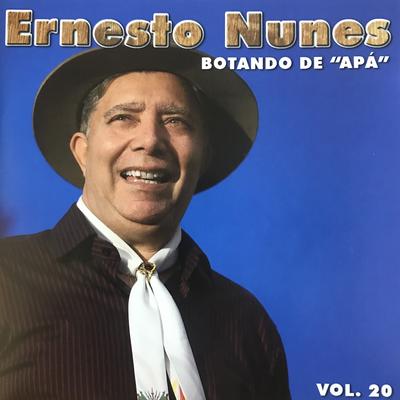 Compasso Serrano (Instrumental) By Ernesto Nunes's cover