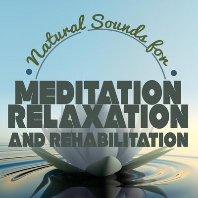 Natural Sounds for Meditation: Relaxation and Rehabilitation's cover