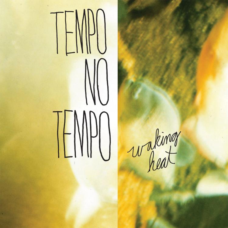 Tempo No Tempo's avatar image