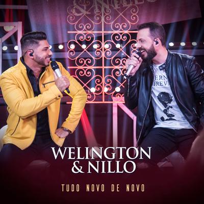 Respeita a Polícia (Ao Vivo) By Welington & Nillo, Diego & Victor Hugo's cover