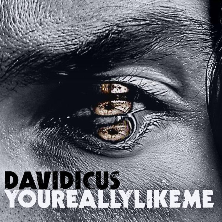 Davidicus's avatar image