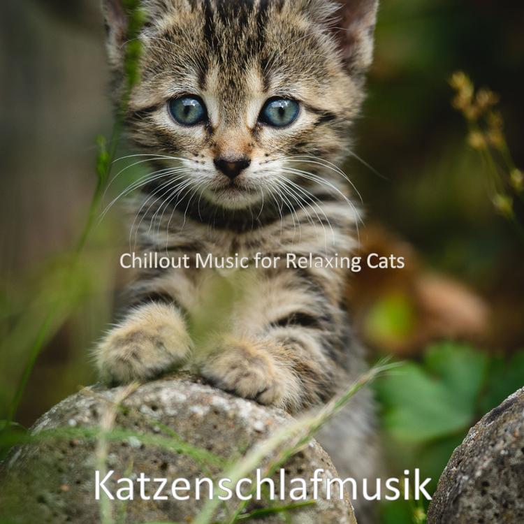 Katzenschlafmusik's avatar image