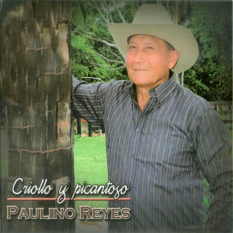 Paulino Reyes's avatar image