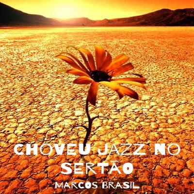 Choveu Jazz no Sertão's cover