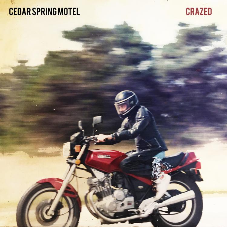 Cedar Spring Motel's avatar image