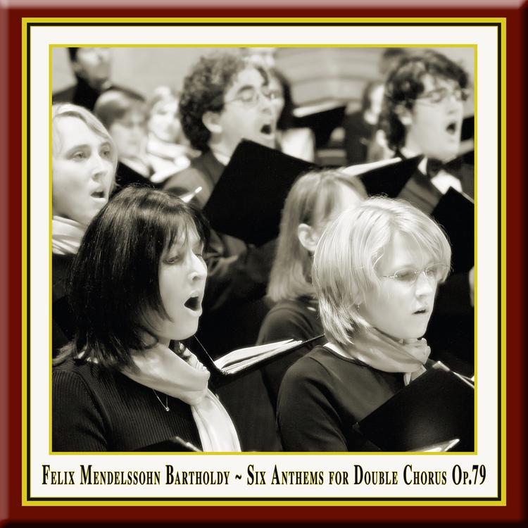 Maulbronner Kammerchor's avatar image