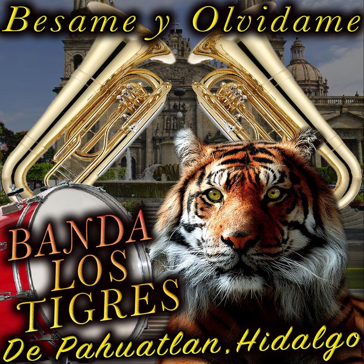 Banda Los Tigres's avatar image