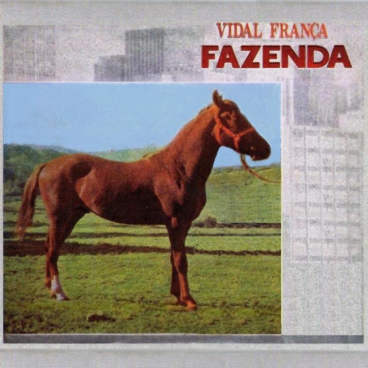 Vidal França's avatar image