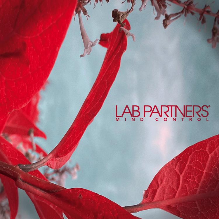 Lab Partners's avatar image