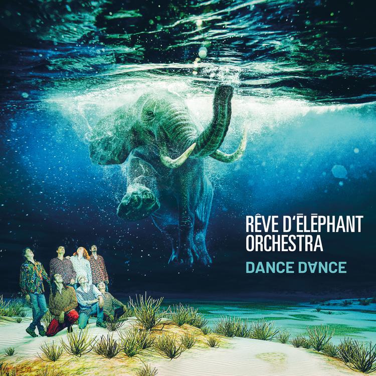 Rêve D'éléphant Orchestra's avatar image