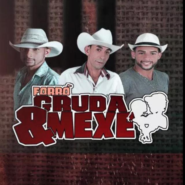 Forró Gruda & Mexe's avatar image