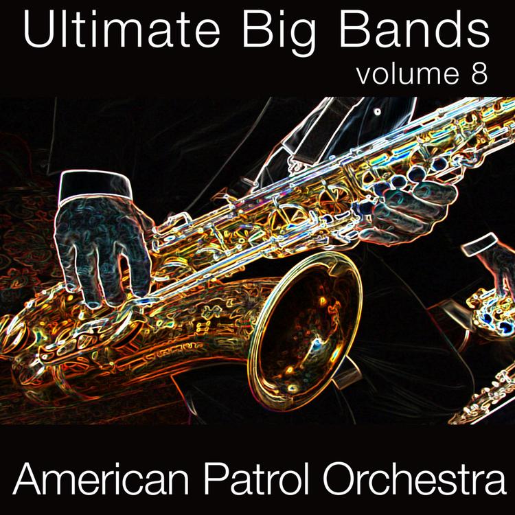 American Patrol Orchestra's avatar image